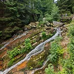 Steinerne Renne Garni