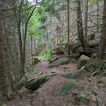 Waldgasthaus & Steinerne Renne 호텔 베르니게로데