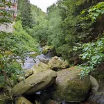 Waldgasthaus & Steinerne Renne 3*