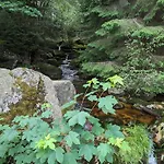 Waldgasthaus & Steinerne Renne 베르니게로데