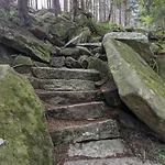 Waldgasthaus & Steinerne Renne 호텔