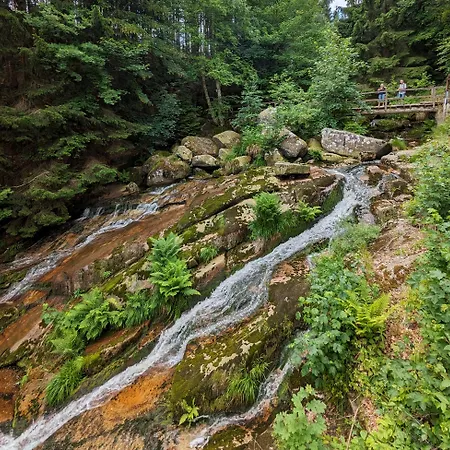 Waldgasthaus & Steinerne Renne