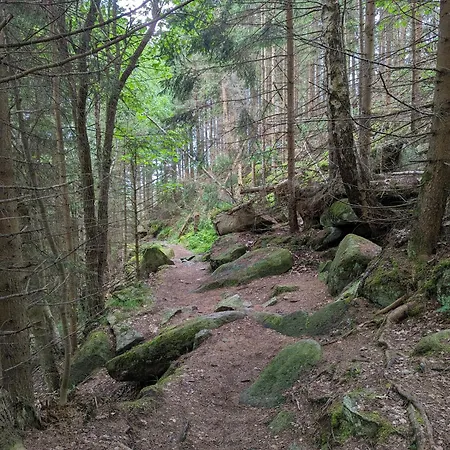 Waldgasthaus & Steinerne Renne Отель Вернигероде