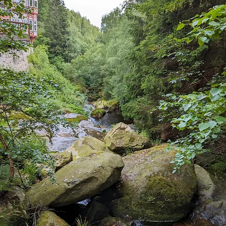 Waldgasthaus & Steinerne Renne 3*