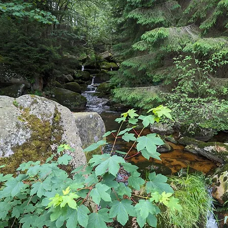 Waldgasthaus & Steinerne Renne Вернигероде