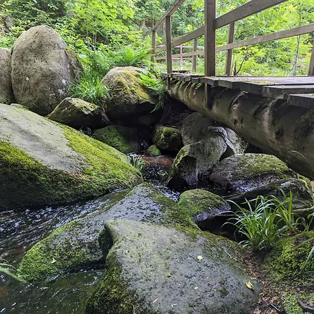 Waldgasthaus&berghotel Steinerne Renne 3*