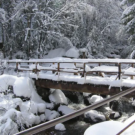 Waldgasthaus&berghotel Steinerne Renne