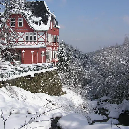 호텔 Waldgasthaus & Steinerne Renne