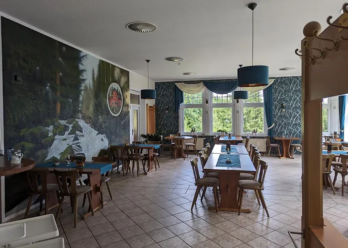 Hotel Waldgasthaus&berghotel Steinerne Renne