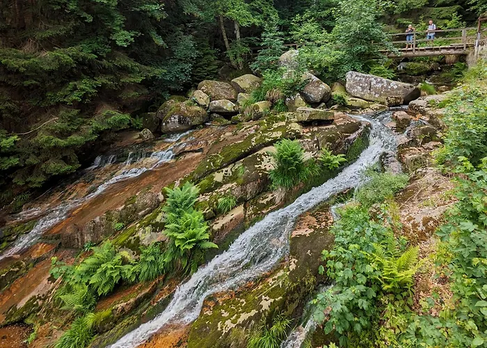 Waldgasthaus & Steinerne Renne