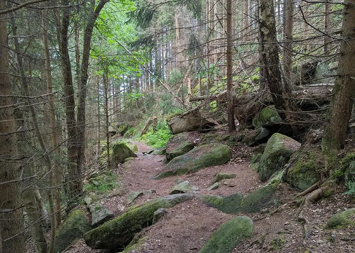 Waldgasthaus & Steinerne Renne Hotel Wernigerode