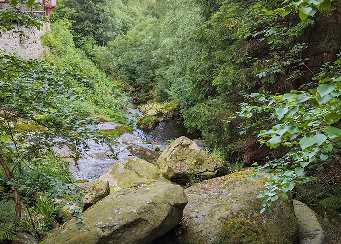 Waldgasthaus & Steinerne Renne 3*