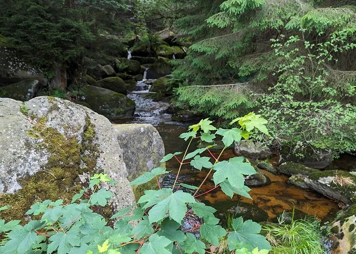 Waldgasthaus & Steinerne Renne Wernigerode