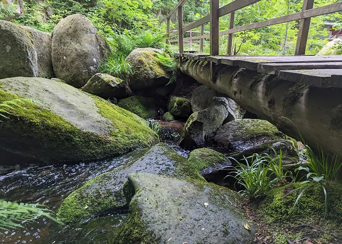 Waldgasthaus&berghotel Steinerne Renne 3*