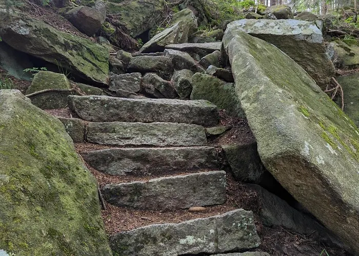 Waldgasthaus&berghotel Steinerne Renne Hotel