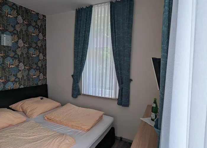 Hotell Waldgasthaus & Steinerne Renne 3*