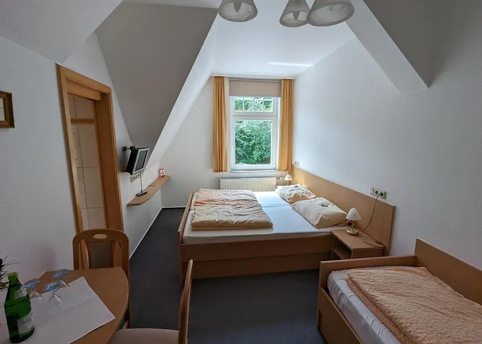 Waldgasthaus&berghotel Steinerne Renne