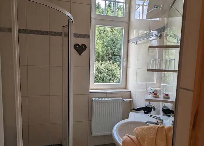 Waldgasthaus&berghotel Steinerne Renne Hotel