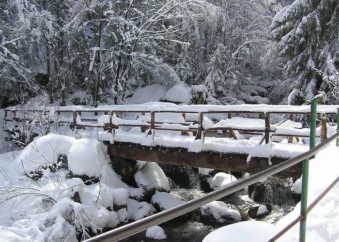 Waldgasthaus & Steinerne Renne