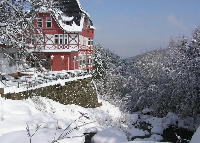 Hotel Waldgasthaus&berghotel Steinerne Renne